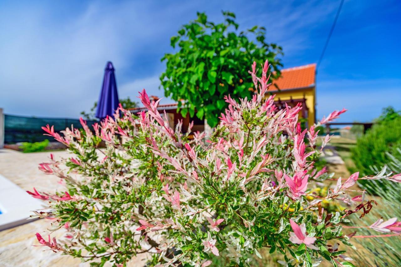 فيلا Sunny House Smokovic المظهر الخارجي الصورة