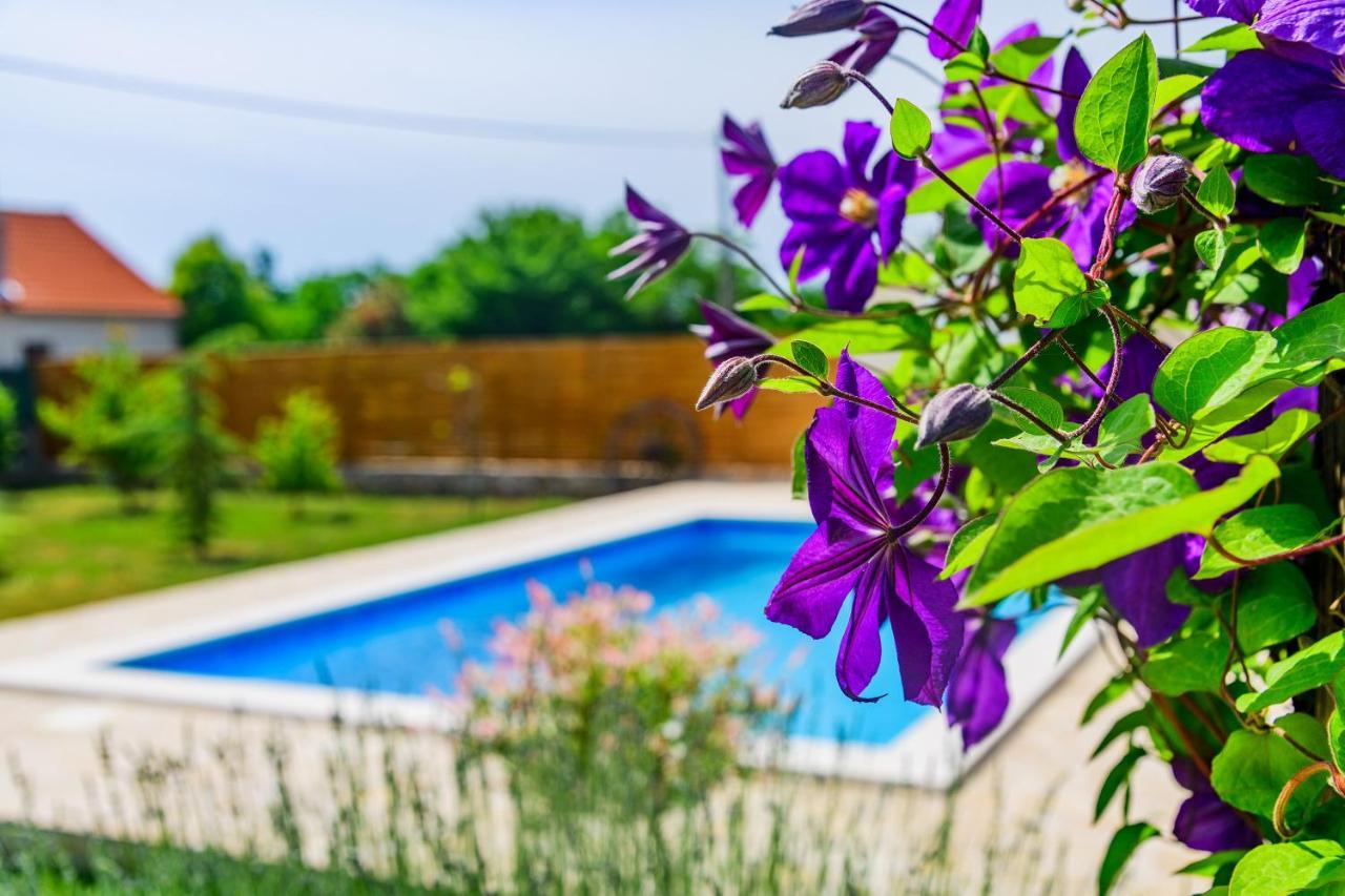 فيلا Sunny House Smokovic المظهر الخارجي الصورة