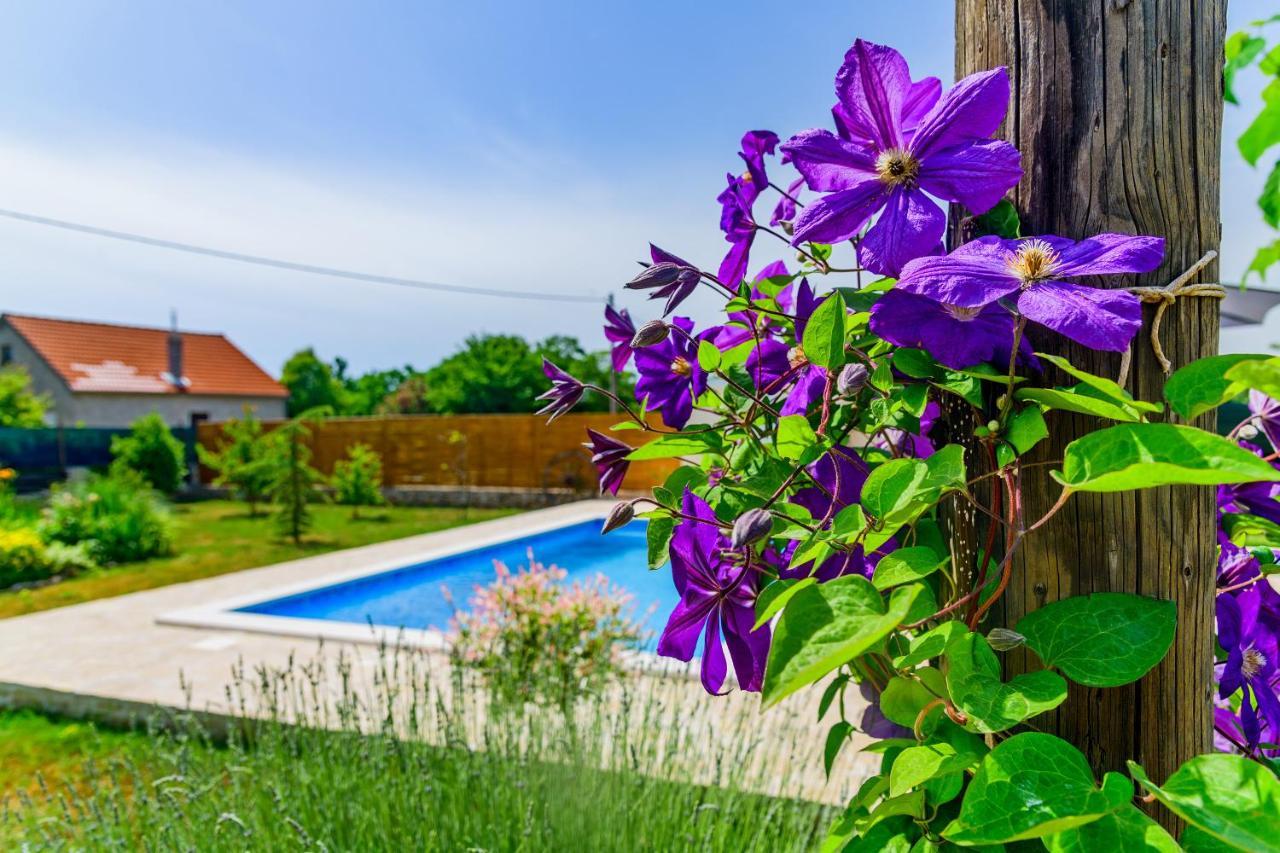 فيلا Sunny House Smokovic المظهر الخارجي الصورة