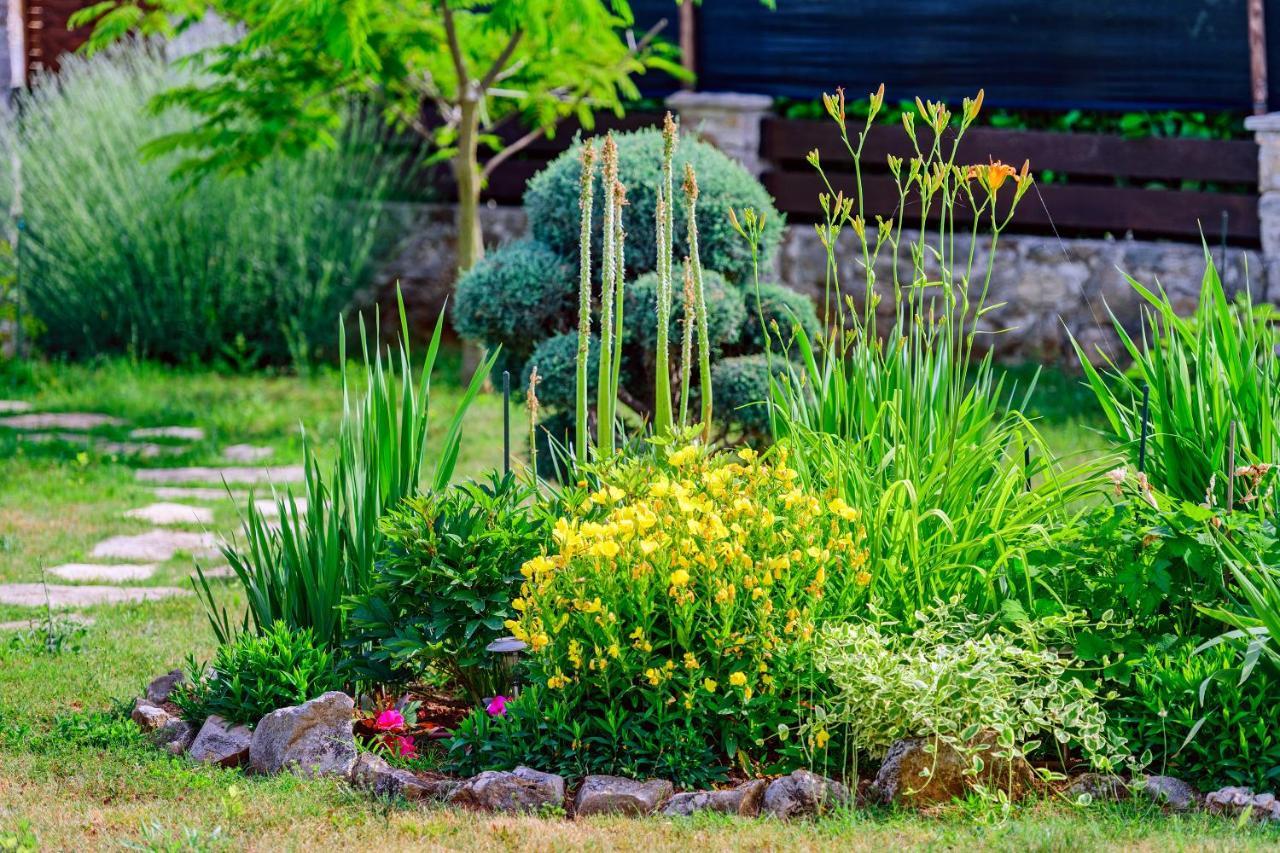 فيلا Sunny House Smokovic المظهر الخارجي الصورة
