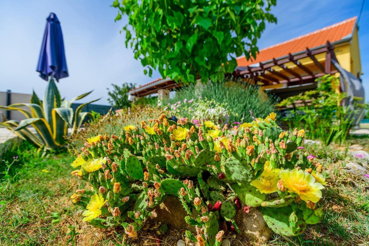 فيلا Sunny House Smokovic المظهر الخارجي الصورة