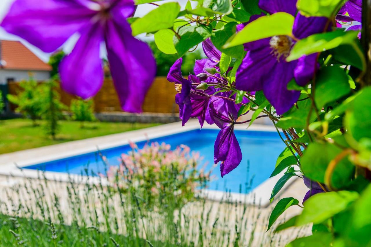 فيلا Sunny House Smokovic المظهر الخارجي الصورة